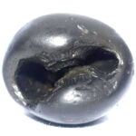 Kalki Shaligram