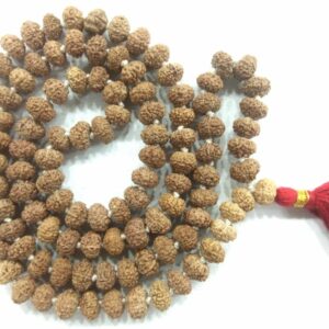 Rare 8 Mukhi Rudraksha Mala - 108+1