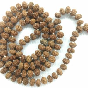 Rare 8 Mukhi Rudraksha Mala - 108+1