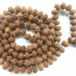 Rare 8 Mukhi Rudraksha Mala - 108+1
