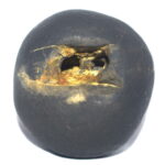 Yoga Narsimha Shaligram