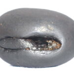 Dattatreya Shaligram