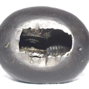 Bala Krishna Shaligram