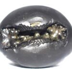 Aghora Narsimha Shaligram
