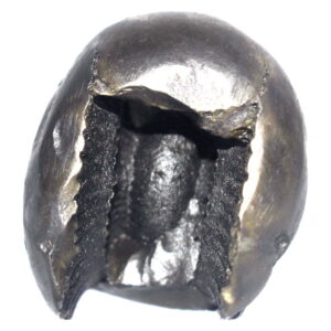 Sacred Adwaitya Golden Bhadra Chamunda Mahakali Shaligram