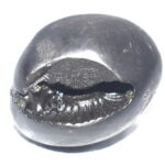 Kalki Shaligram