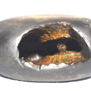 Ugra Narsimha Shaligram