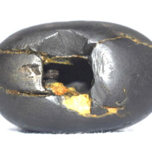 Syamantaka Hari Shaligram