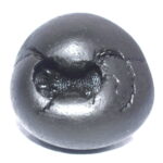PundariKaksha Shaligram