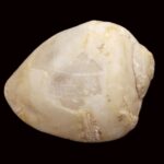 Heera Shankh