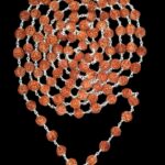 6 Mukhi Rudraksha Mala In Pure Silver