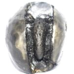 Sacred Adwaitya Pratyangira Devi Golden Mahakali Shaligram