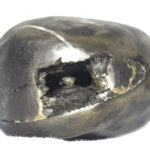 Kalki Shaligram