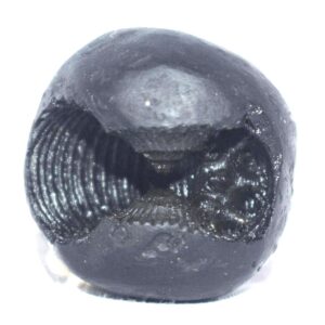 Laxmi Narsimha Shaligram