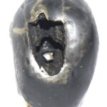 Sacred Adwaitya Shweta Crystal Kamal Golden Bhur Bhavas Gayatri Vaikuntha Shaligram