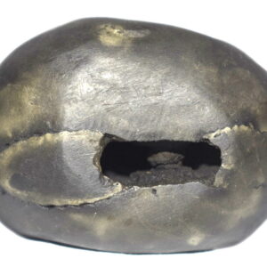 PundariKaksha Shaligram
