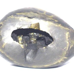 Rare Big Size Narsimha Shaligram