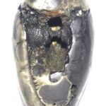 Sacred Adwaitya Golden Tara Dasha Maha Vidya Shaligram