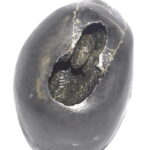 Rare Big Size Trivikrama Shaligram