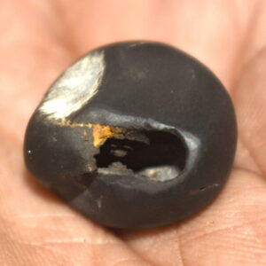 RaghuNatha Shaligram