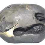 Rare Big Size Purushottama Shaligram