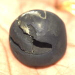 Sita Rama Shaligram / Trichakra SitaRama Salagram
