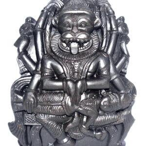 Rare Narasimha Murti on Natural Sudarshan Shaligram