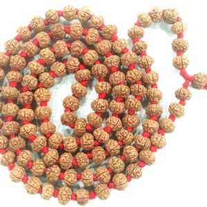 Rudraksha Pathri Chikna Beads Mala - 6 mm