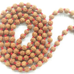 6 Mukhi Rudraksha Mala - 109 Beads - 5 mm