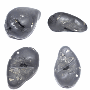 Matsya Shaligram