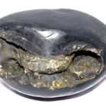 Laxmi Narsimha Shaligram