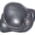 Rare Big Size Shweta Janeyudhari Laxmi Vanamala Maha Ganesha Shaligram