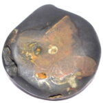 Sita Rama Shaligram