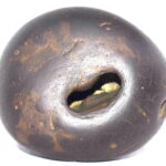 Laxmi Narayan Shaligram