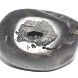 Sita Rama Shaligram