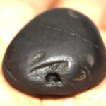 Pattabhi Rama Shaligram