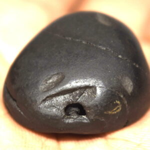 Pattabhi Rama Shaligram