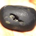 Pattabhi Rama Shaligram