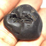 Janardhana Shaligram