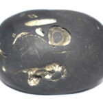 VataPatrashayi Shaligram