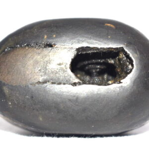 Vijaya Rama Shaligram