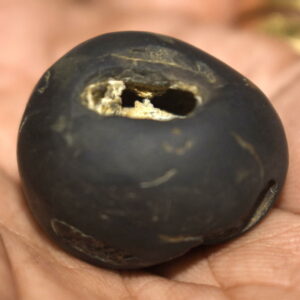 Madhusudhan Shaligram