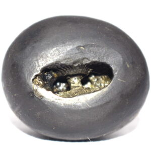 Santan Gopala Shaligram