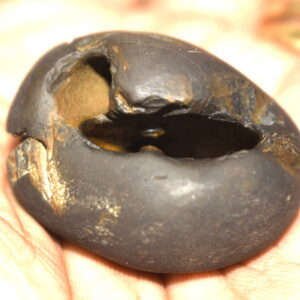 Kapila Yagna Shaligram