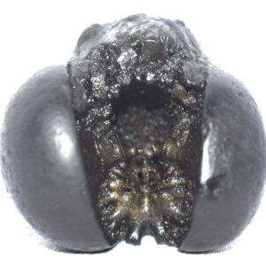 Sacred Adwaitya Pratyangira Devi Golden Narasimhi Shaligram