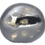 Yogananda Narsimha Shaligram