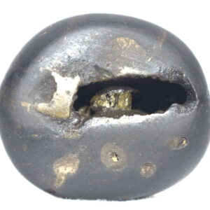 Yogananda Narsimha Shaligram