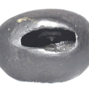 Vaman Shaligram