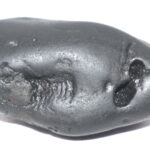 Sarvottam Laxmi Vanamala ChakraDhari Krishna Paduka Shaligram