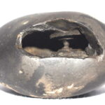Vasudeva Shaligram